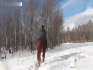 Wife Puts On a Show for Husband: Stolen Private Zoo Sex With Horse in Front of Husband!