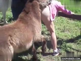 Unbelievable: Watch an Exclusive XXX Video of a Donkey Fucking a Wife While Her Husband Helps!