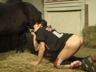 Wife Kneels in Sloppy Manner to Suck Horse's Big Cock - Zoo Porn Horse Sex, Zoophilia Top Videos Free Sex Download Animal Video Free!